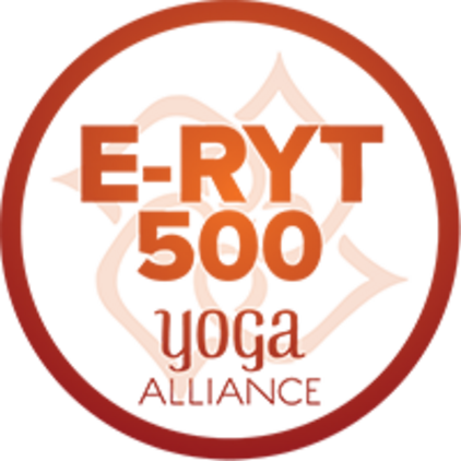 E-RYT500 Zertifizierung